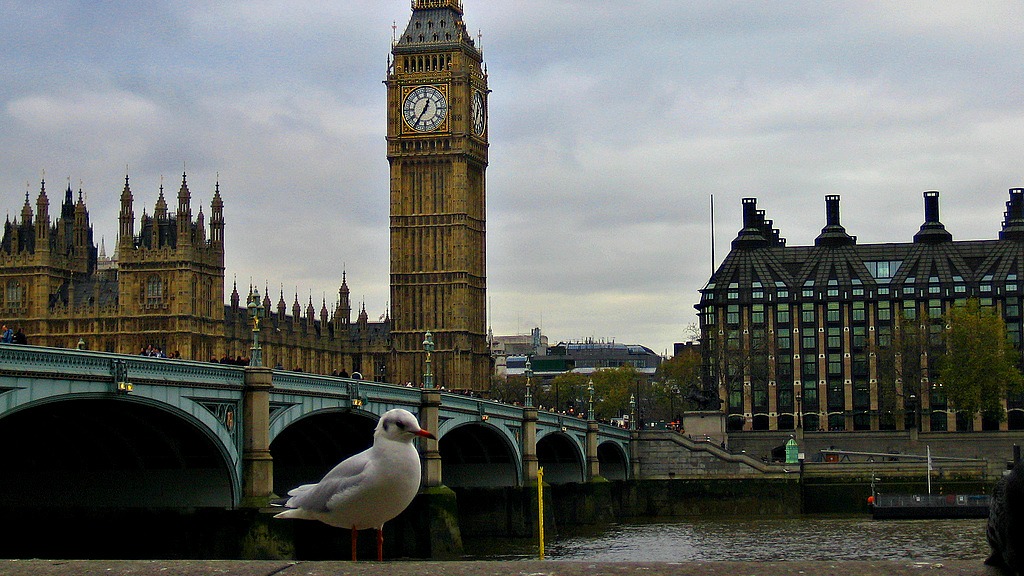 Big Ben and a feathered onlooker (photo by Anthony Majanlahti, via Creative Commons)