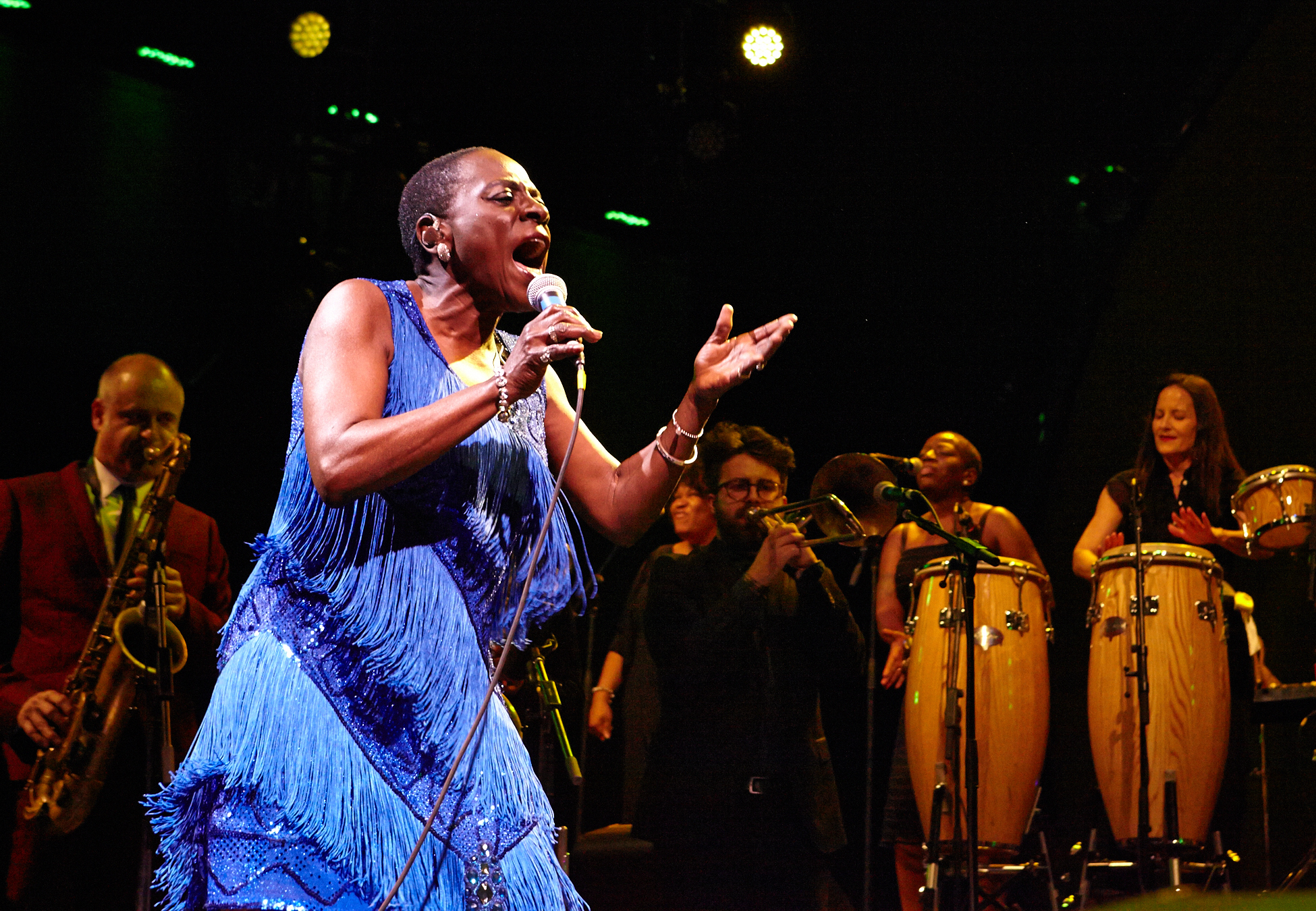 Sharon Jones & The Dap-Kings at BRIC Celebrate Brooklyn! Festival Sharon Jones & The Dap-Kings at BRIC Celebrate Brooklyn! Festival