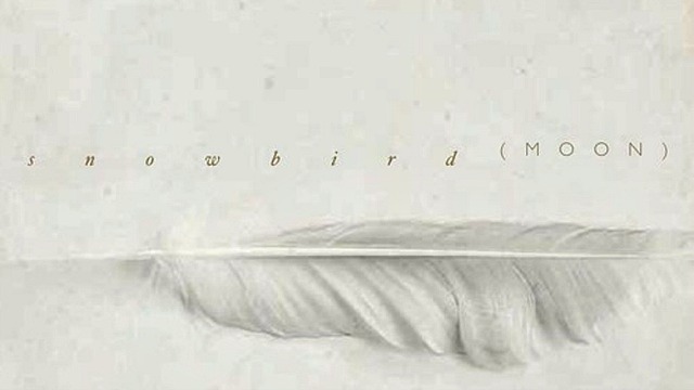 Snowbird's Simon Raymonde, formerly of Cocteau Twins and co-founder of the Bella Union label, picks his 'Five Essential Albums' for FUV.
