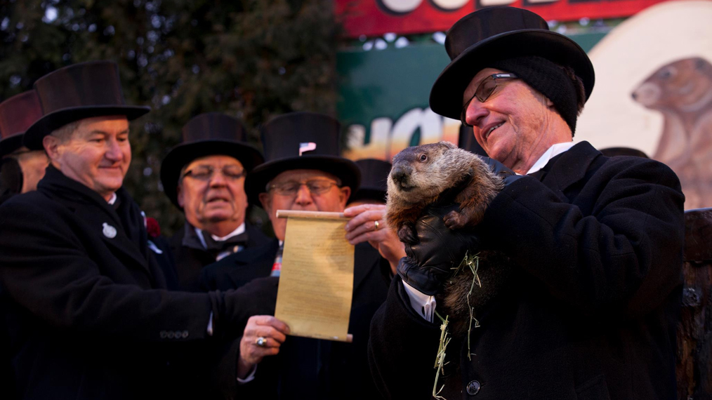 Punxsutawney Phil