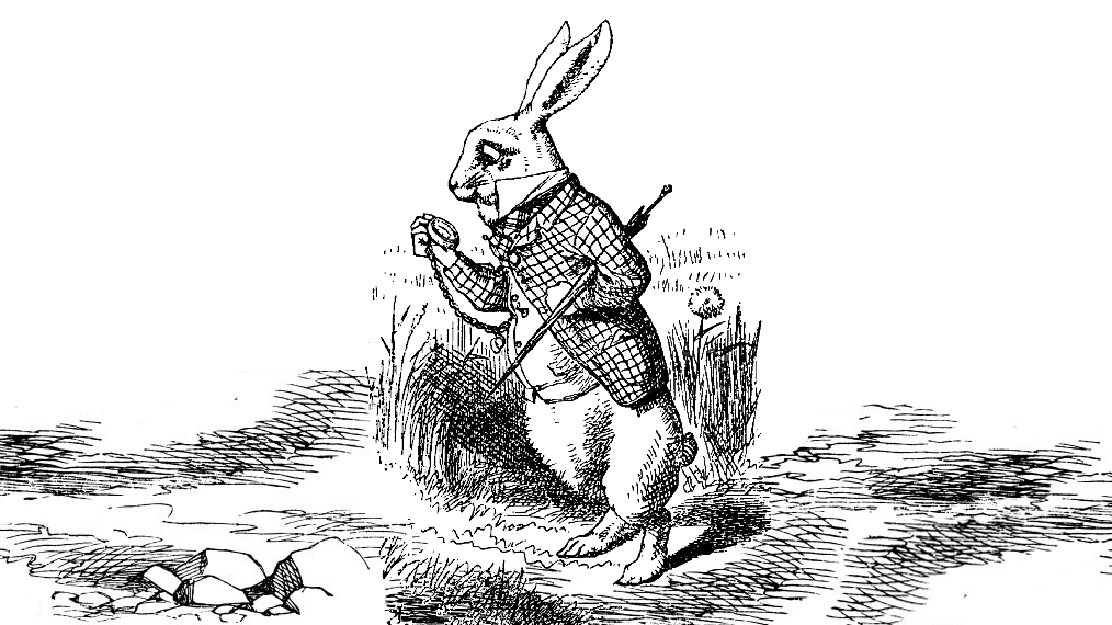 white-rabbit