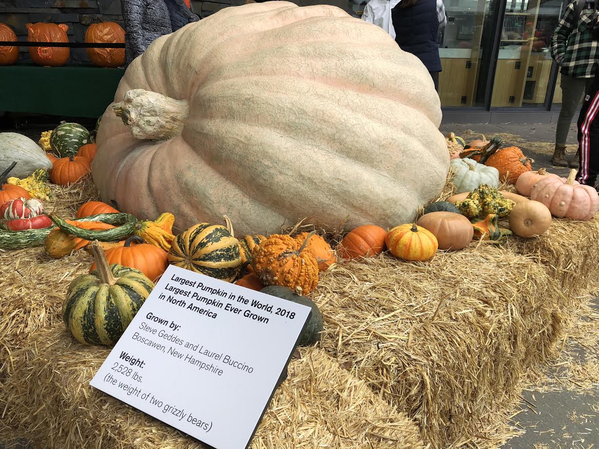 The World's Biggest Pumpkin Comes to New York WFUV