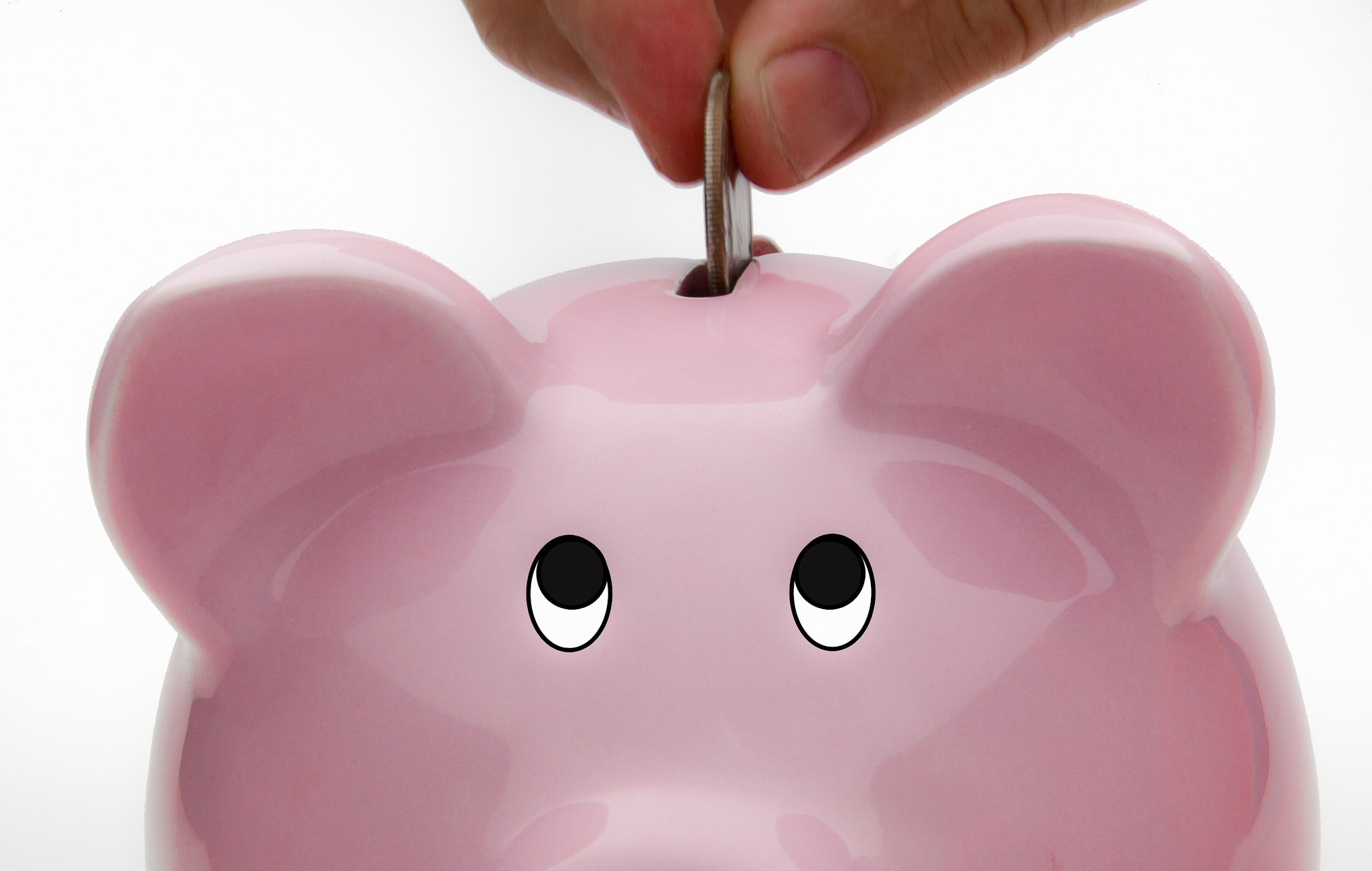 The Piggy Bank