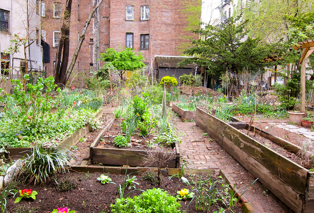 Community Gardeners Celebrate Temporary Victory | WFUV