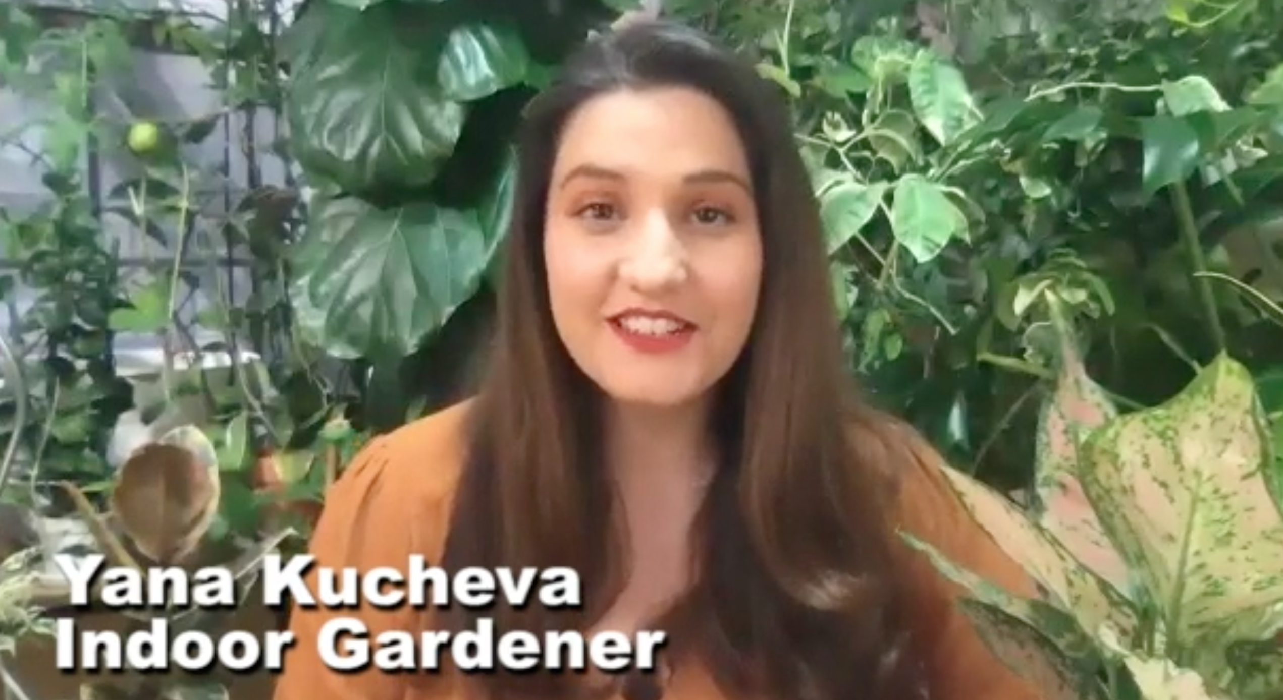 WFUV Presents: Staying Safe and Sane, Episode 7