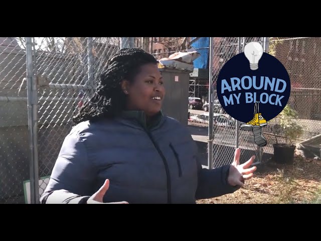 Around My Block: Beautifying the Bronx