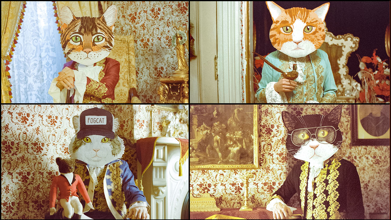 Fantastic Cat (photo by Vivien Wang, PR)
