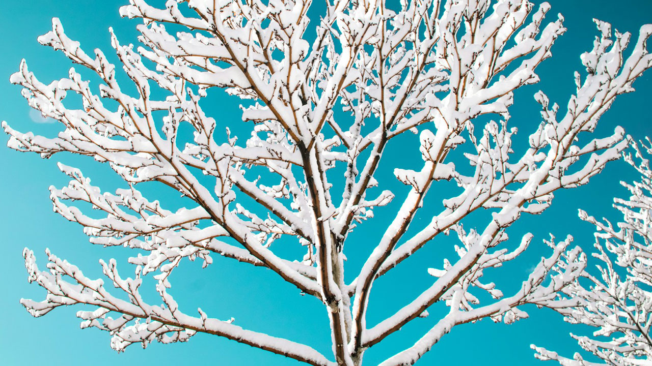 Photo by Artin Bakhan via Unsplash.