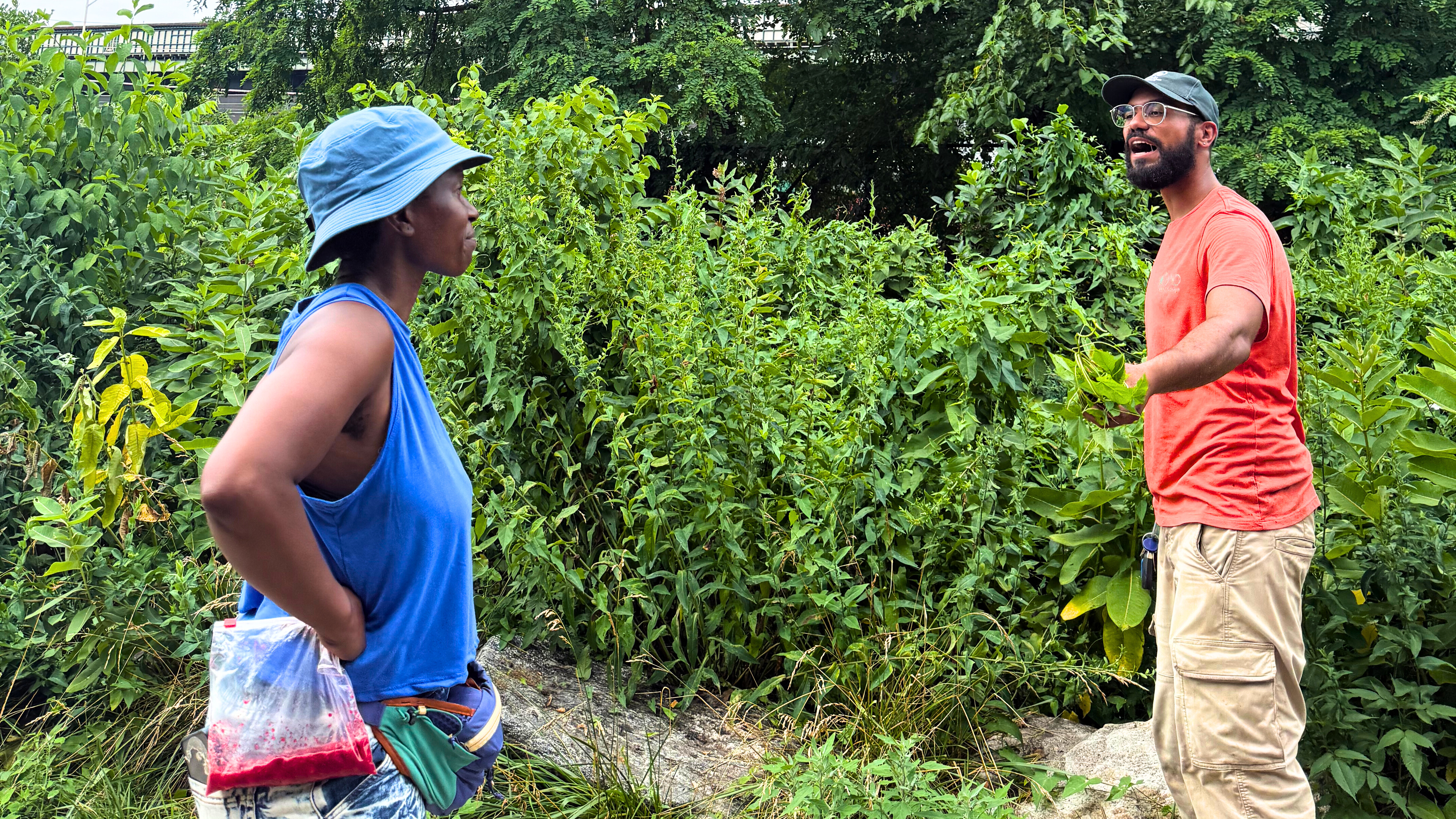 Harvesting from an Edible Forest