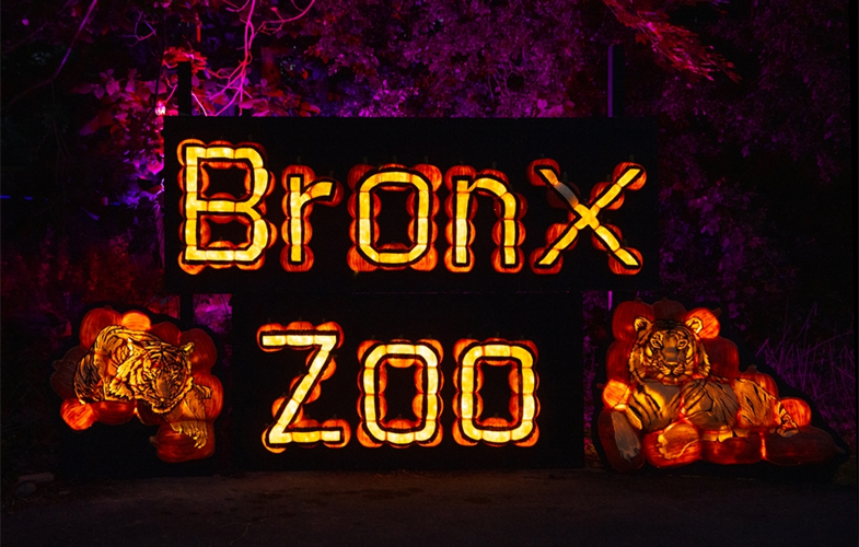 Bronx Zoo Pumpkin Nights | WFUV