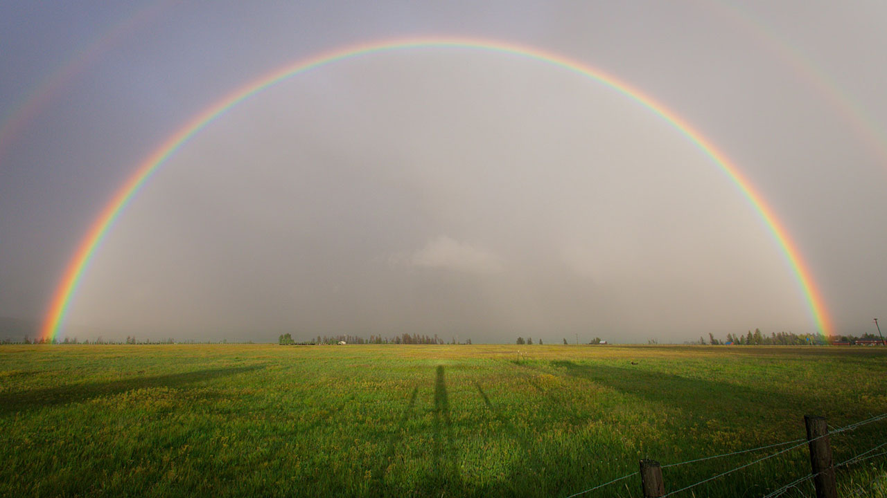 rainbow over grassy field