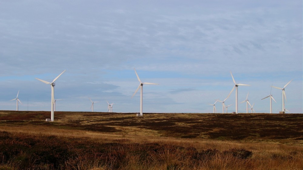 wind farm