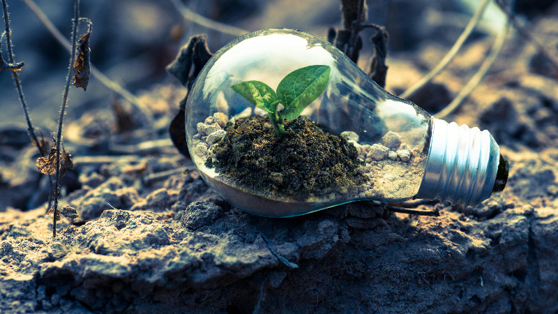 Photo by Singkham on Pexels