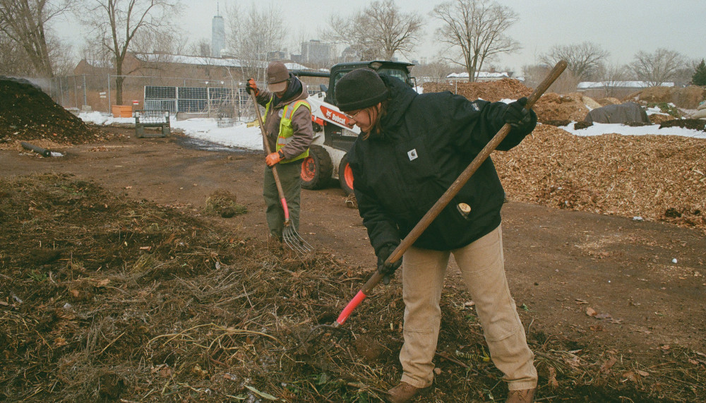 Organizing the Brush